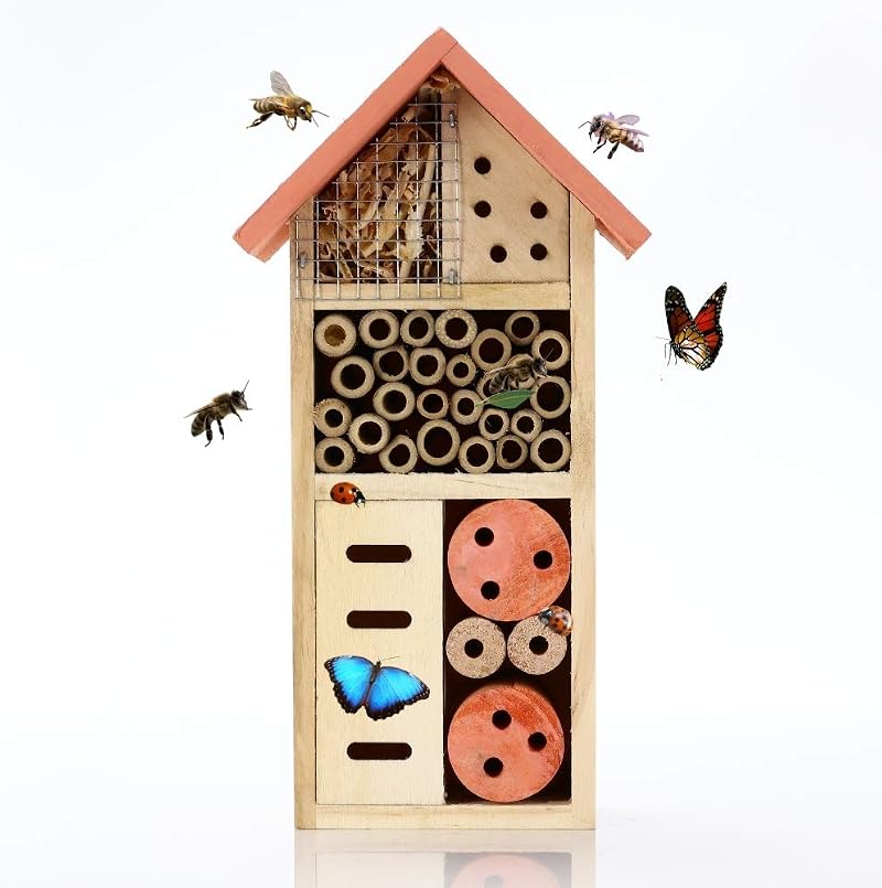 Buddy Wild Insect Bee House - Eco-Friendly Bug Hotel for Garden