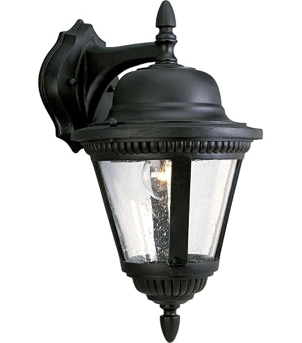 Progress Lighting P5862-31 1-Light Cast Wall Lantern with Clear