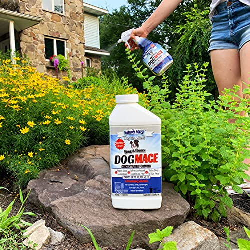 Nature's Mace Dog Repellent 40oz Spray/Treats 1,000 Sq. Ft. / Keep Dogs