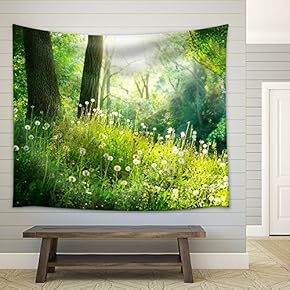Spring Nature Beautiful Landscape Green Grass and Trees - Fabric Wall Tapestry Home Decor - 51x60 inches