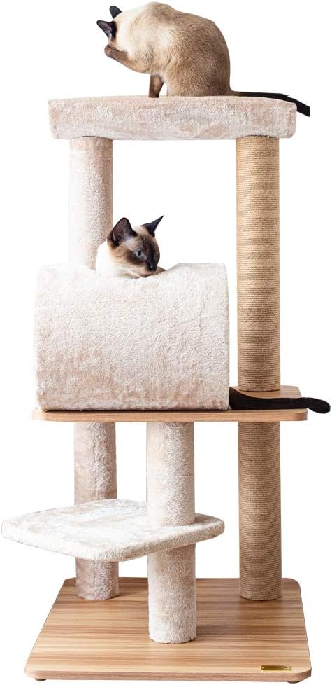Catry, Large Activity Cat Tree (CT19511) : Pet Supplies