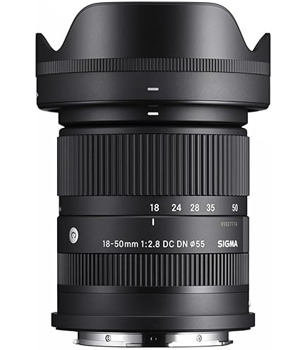 Amazon.com : Sigma 30mm F1.4 DC DN for L Mount : Electronics Amazon.com : Sigma 30mm F1.4 DC DN for L Mount : Electronics