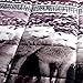 BEDnLINENS HIG 3D Bed Sheet Set -4 Piece 3D White Mountain Wolves Printed Sheet Set Queen Size (Y08)