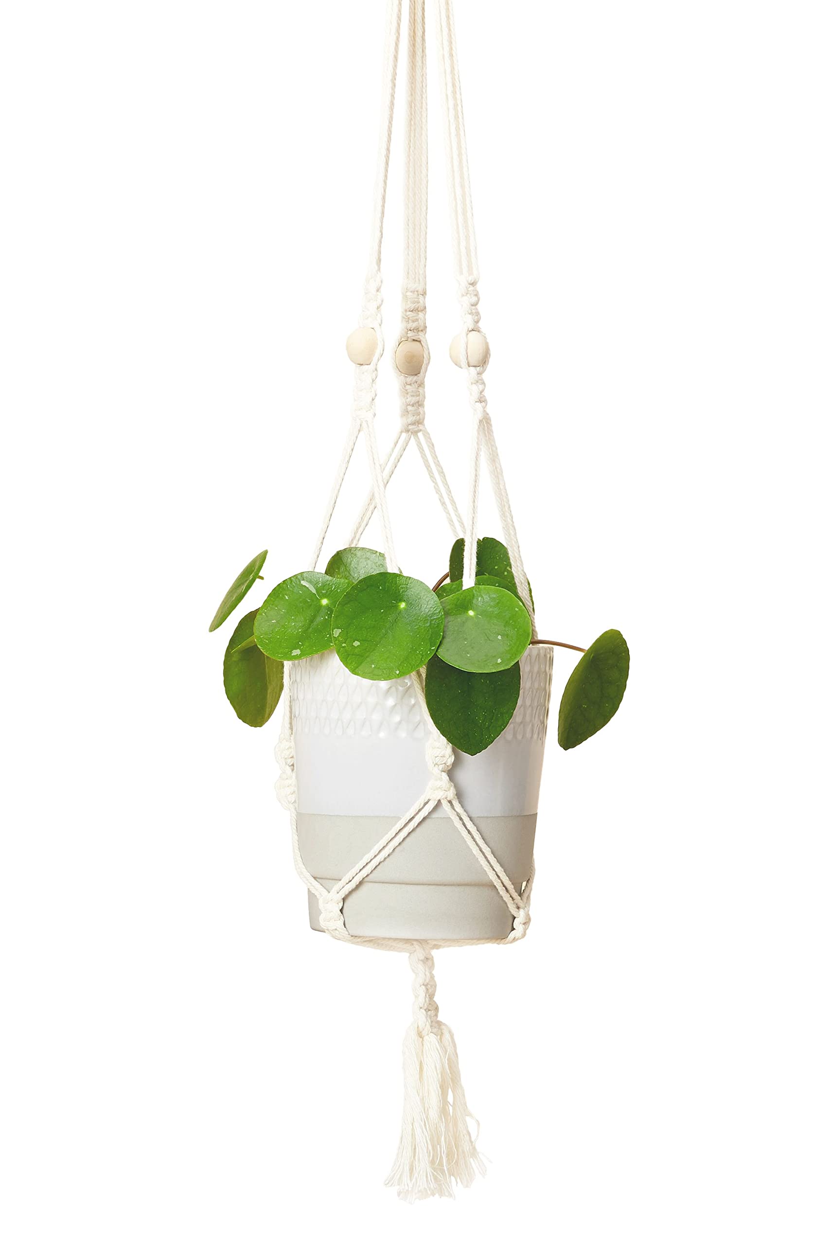 Calm Club 'Hang Time' Macrame Kit | Macrame Plant Hanger Kit | Macramé Hanging Planter Craft Kits | Mindfulness Gifts | Relaxation Arts and Crafts for Adults: Macrame Cord, Beads, Rings & Tutorial