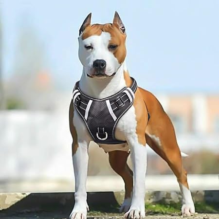 best giant breed dog harness