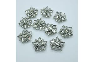 G-RUI 10pc/lot Glass Rhinestone Appliques for Clothes DIY sew on Star Patches Appliques Sewing Accessories (White)…
