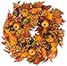 The Wreath Depot Montgomery Hollow Silk Fall Door Wreath 26 Inch, Large and Extra Full Handcrafted Thanksgiving Wreath, Beautiful White Gift Box Included