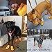 HaveGet Waterproof Dog Shoes Fluorescent Orange Dog Boots Adjustable Straps and Rugged Anti-Slip Sole Paw Protectors for All Weather Comfortable Easy to Wear Suitable for Large Dog (XS)