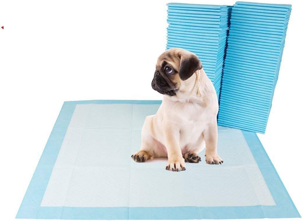SECOM Dog Training Pads/Training Pee and Potty Pads with Quick Drying Surface and Absorbent Core/Suitable for Small/Large Breed Puppies/Size: XL/L-60 cm X H- 90 cm, 20 Piece