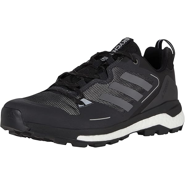 Amazon.com | adidas Terrex Skychaser 2 GTX Mens Shoes Size 7