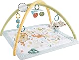 Fisher-Price Simply Senses Newborn Gym Playmat with Mobile Toy Arch view 7