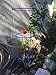 Go Hydro Flexible Tomato Cage 48 Inch Multi Level Build as You Grow Plant Support Hydroponics