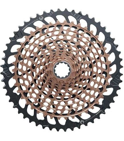 Amazon.com : SRAM XS-1270 Eagle Cassette 10-52t | bike-cassettes