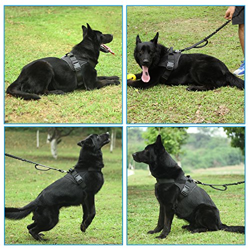 black service dog vest