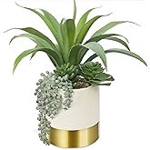 Hollyone Large Artificial Succulents Plants Faux Succulents 12" Fake Succulent Plants in Gold Ceramic Pot Succulent Plant for Desk Modern Home Living Room Office Table Bathroom Decor