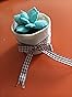 Felt Succulents Craft Kit. Make 6 Potted Colorful Plushies & A Display