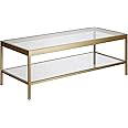 Henn&Hart 45" Wide Rectangular Rectangular Coffee Table in Brass, Modern Rectangular Coffee Tables for living room, studio apartment essentials