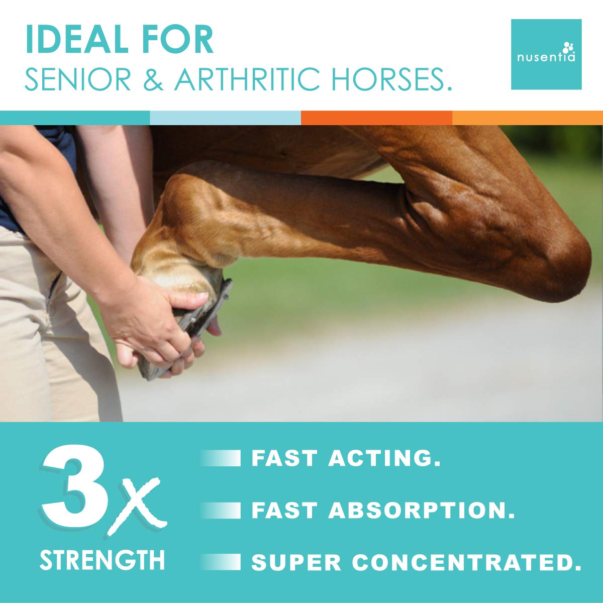 NUSENTIA Horse Joint Supplement New Larger Size (1 GAL) Equine