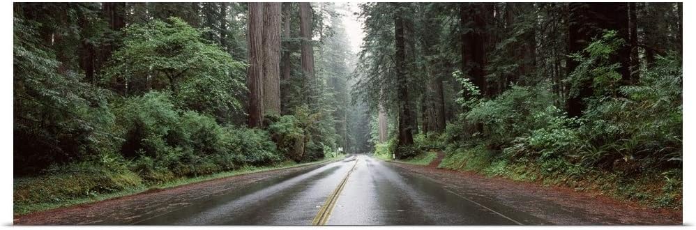 GREATBIGCANVAS Road Passing Through Forest Avenue of The Giants Humboldt Redwoods State Park Eureka Humboldt Co.