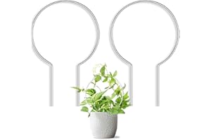 JETTIFY 2 Pack Round Plant Trellis for Potted Plants Indoor Outdoor, Acrylic Small Trellis for Climbing Plants, Plant Support for Hoya Pothos Vine Ivy Monstera Flower Philodendrons Dischidia