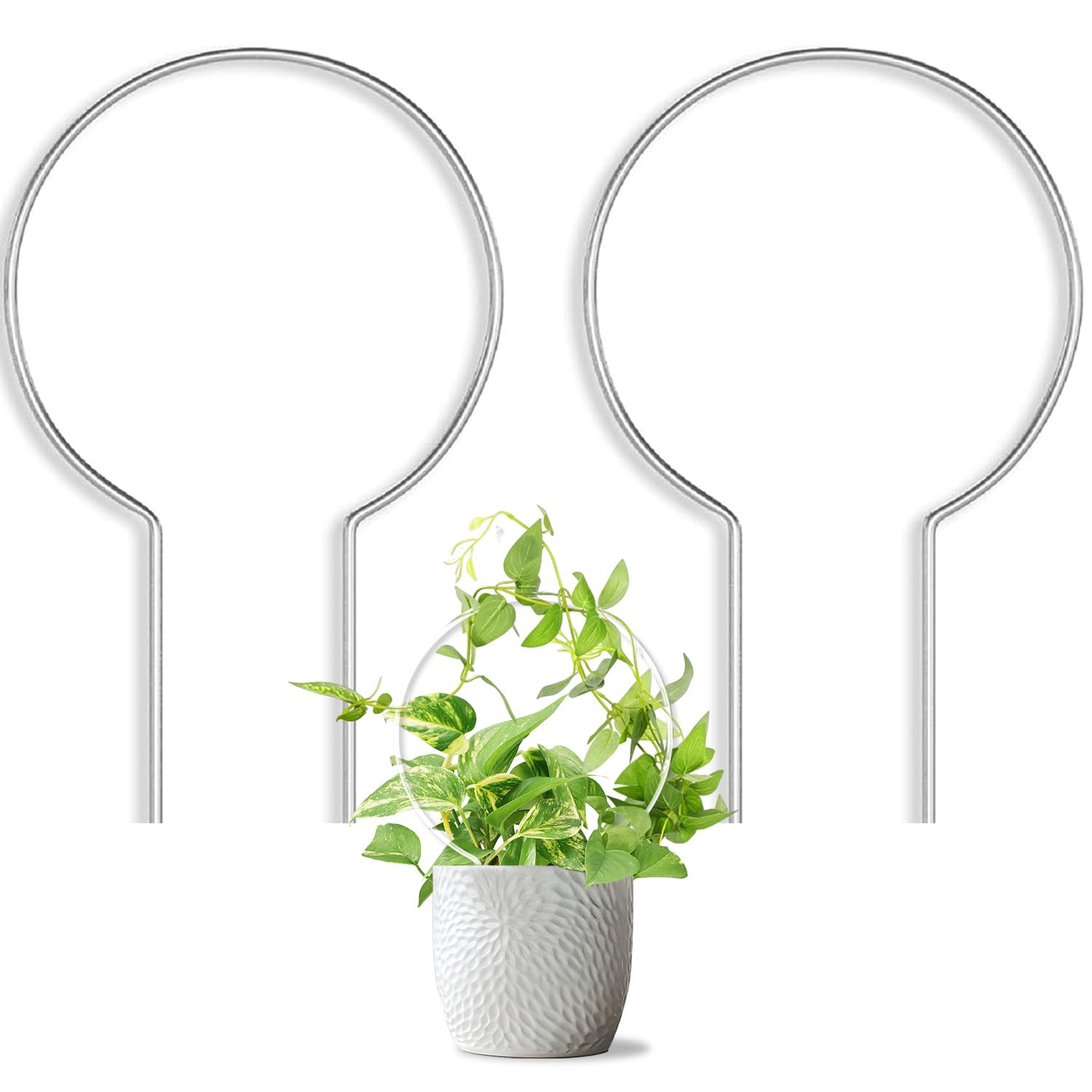 Photo 1 of JETTIFY 2 Pack Round Plant Trellis for Potted Plants Indoor Outdoor, Acrylic Small Trellis for Climbing Plants, Plant Support for Hoya Pothos Vine Ivy Monstera Flower Philodendrons Dischidia