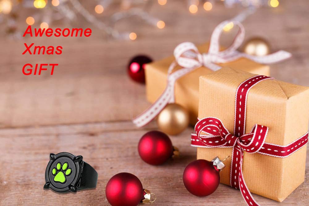 Cat Noir Ring Costume Neclace Halloween Adult-Deluxe Zinc Alloy Black Green Cat Ring Halloween 0.8 Inches Pendant Necklace