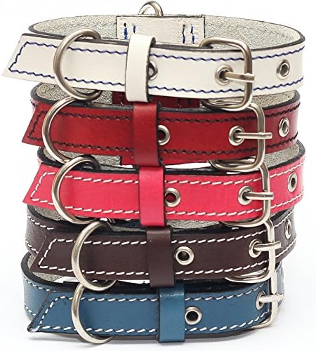 Premium Leather Collars with Stainless Steel Buckles (12"-15", Red)