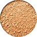 freshMinerals Mineral Luminizing Brush Powder, Shimmer, 4.8 Gram