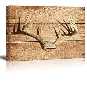 Rustic Deer Antler Wall Decor