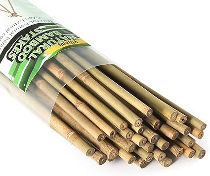 picture Bamboo Sticks For Plant Support Amazon pllieay 25 pieces bamboo stakes garden stakes for indoor and outdoor gardening plant supports 2 feet