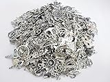 Incredible art 80-Piece Silver Pewter Charms Pendants Mega Mix DIY for Jewelry Making and Crafting,100gm, Silver