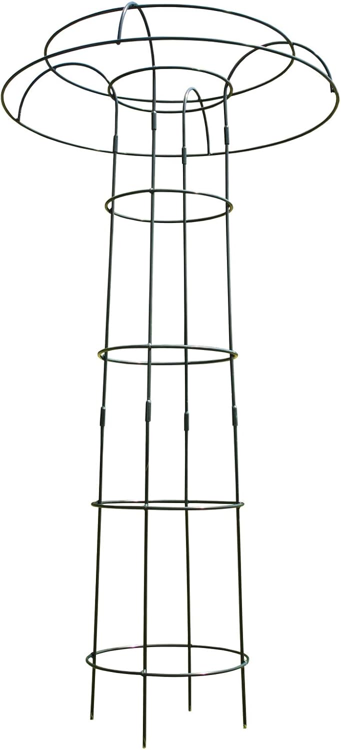 Metal Garden Plant Supports Amazon at Shelly Henry blog