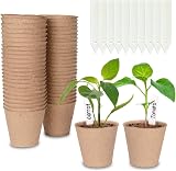 Cymax 50x 8cm Round Fibre Seedling Pots with 50 Plant Labels Biodegradable view 1