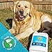 STAIN FU Pro Strength Carpet Odor & Stain Remover Works Like Magic in a Bottle on Tough Urine Feces Vomit and Even red Wine Too! 24 fl.oz