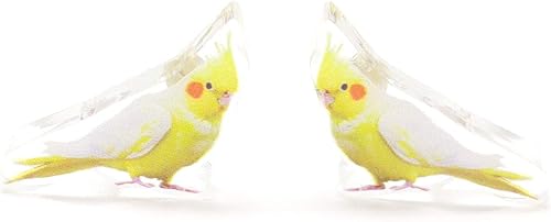 Amazon オカメインコ セキセイインコ 樹脂ノンホールピアス イヤリング 通販