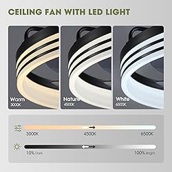 LUDOMIDE Ceiling Fans with Lights, Flush Mount
