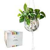 Havenstone Home Hanging Disco Ball Planter 8" - with Acrylic Stand and Macrame Plant Hanger - Home D&eacute;cor, Room D&eacute;cor, Patio or Boho D&eacute;cor, Mirror Disco Planter, Disco Decor (8" No Base)