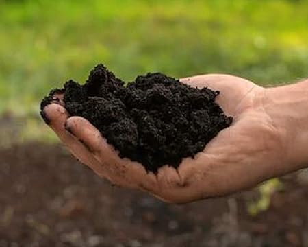 SAPRETAILER Vermicompost Organic Fertilizer 5Kg