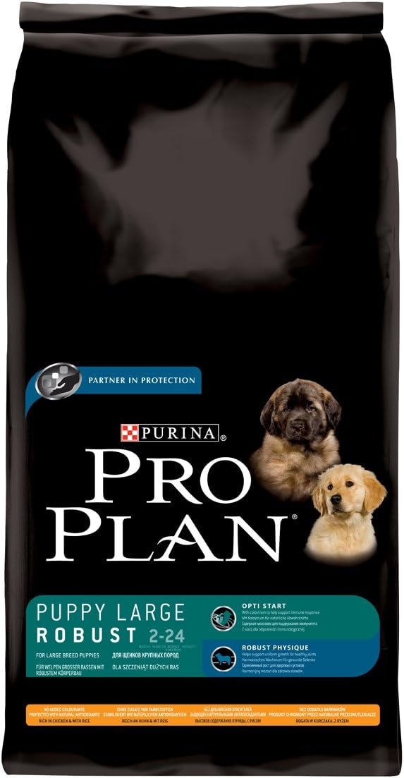 coastal holidays with dogs