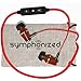 Symphonized XTC Red Wireless In-Ear Headphones - Bluetooth 4.0 Earbuds with Earhooks, Running Earbuds, Noise Isolating, 7-Hour Battery Life, Red