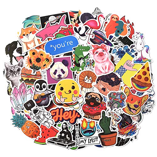 Laptop Sticker Pack 100 Pcs for Water Bottles Sticker Unique Cool Vsco Stickers for Hydro Flask Notebook Guitar Skateboard Refrigerator Travel Kid Adults DIY Bedroom Vinyl Stickers Waterproof