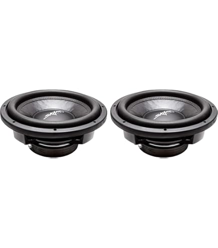 Amazon.com: Skar Audio VD-12 D4 12