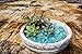 SuperMoss (24184) Sea Glass Vase Filler, 2 lb, Cold Blue