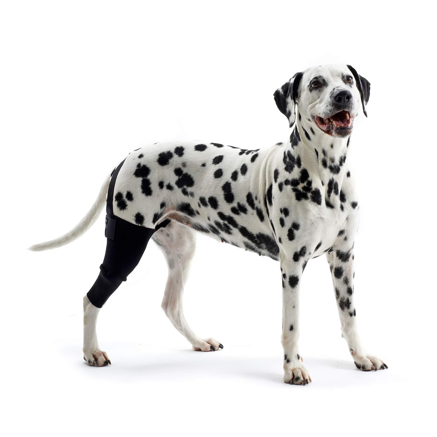 Kruuse Left Rehab Knee Protector for Dogs, Left, X-Small