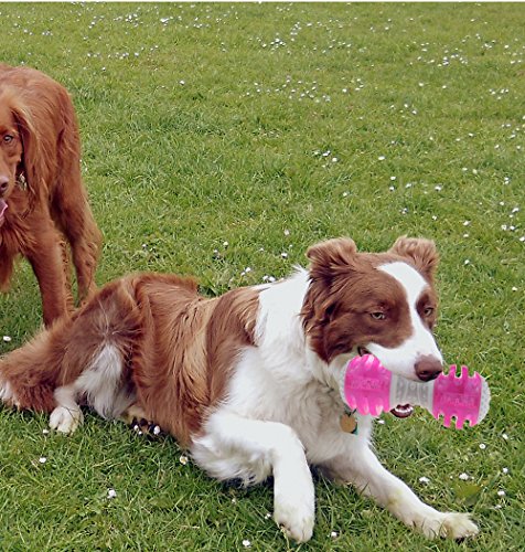CEESC Puppy Chew Bones Toys, Soft TPR Tooth Cleaning Bone Sound Squeaky Toy for Small and Medium Dogs (Pink) - Thumbnail 7