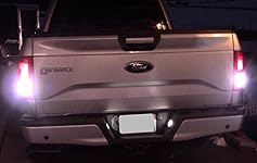 Review Image by M. Cox M. Cox