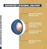 Kumproicha Liposomal NAD+ 500mg with TMG 250mg Softgels 60 count (Pack of 4) view 4