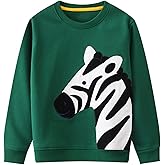Bumeex Toddler Boy's Kids Crewneck Pullover Sweatshirts 2-7Year