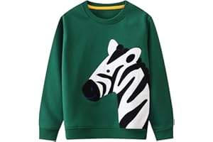 Bumeex Toddler Boy's Kids Crewneck Pullover Sweatshirts 2-7Year