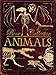 Bone Collection: Animals
